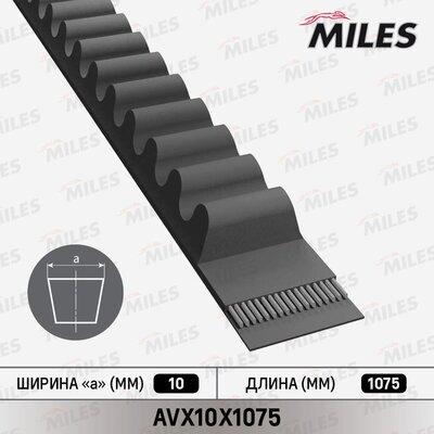 Miles AVX10X1075 - Cinghia trapezoidale autozon.pro