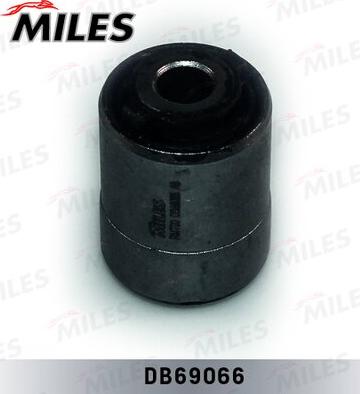 Miles DB69066 - Supporto, Braccio oscillante autozon.pro