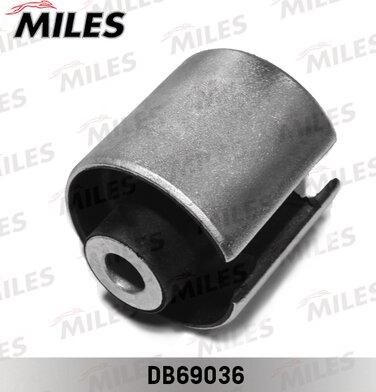 Miles DB69036 - Supporto, Braccio oscillante autozon.pro