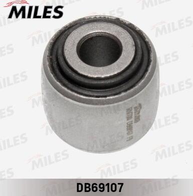 Miles DB69107 - Supporto, Braccio oscillante autozon.pro