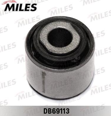 Miles DB69113 - Supporto, Braccio oscillante autozon.pro