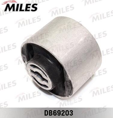 Miles DB69203 - Supporto, Braccio oscillante autozon.pro