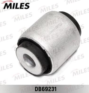 Miles DB69231 - Supporto, Braccio oscillante autozon.pro