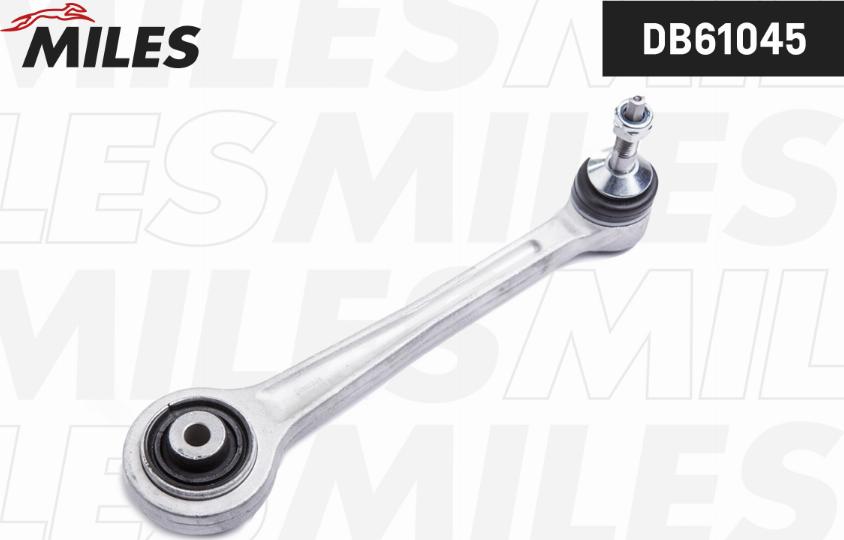 Miles DB61045 - Braccio oscillante, Sospensione ruota autozon.pro