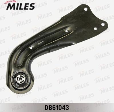 Miles DB61043 - Braccio oscillante, Sospensione ruota autozon.pro