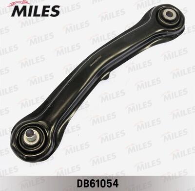 Miles DB61054 - Braccio oscillante, Sospensione ruota autozon.pro