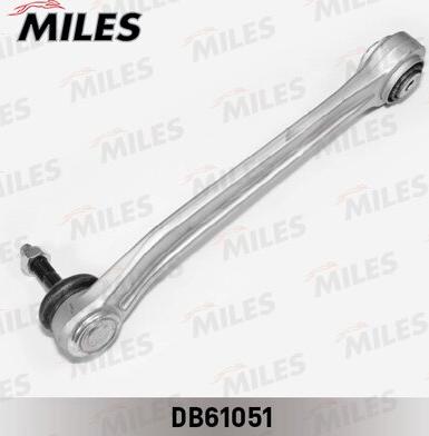 Miles DB61051 - Braccio oscillante, Sospensione ruota autozon.pro