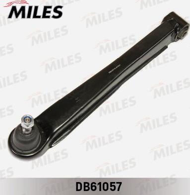 Miles DB61057 - Braccio oscillante, Sospensione ruota autozon.pro