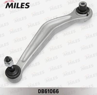 Miles DB61066 - Braccio oscillante, Sospensione ruota autozon.pro