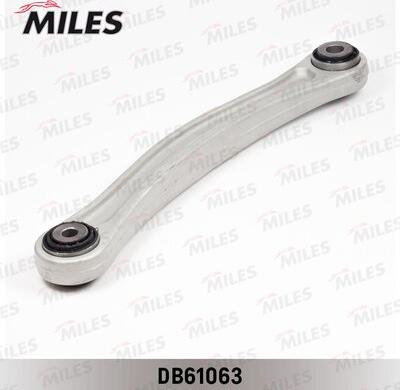 Miles DB61063 - Braccio oscillante, Sospensione ruota autozon.pro