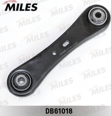 Miles DB61018 - Braccio oscillante, Sospensione ruota autozon.pro