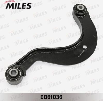 Miles DB61036 - Braccio oscillante, Sospensione ruota autozon.pro