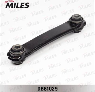 Miles DB61029 - Braccio oscillante, Sospensione ruota autozon.pro