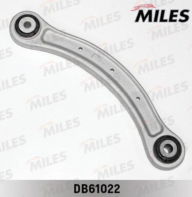 Miles DB61022 - Braccio oscillante, Sospensione ruota autozon.pro