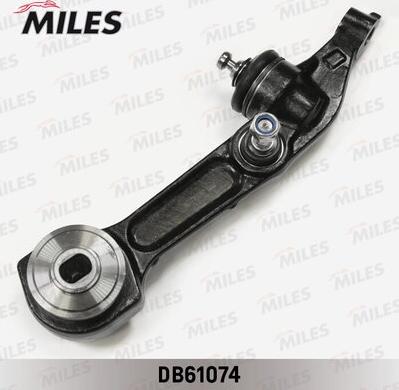 Miles DB61074 - Braccio oscillante, Sospensione ruota autozon.pro