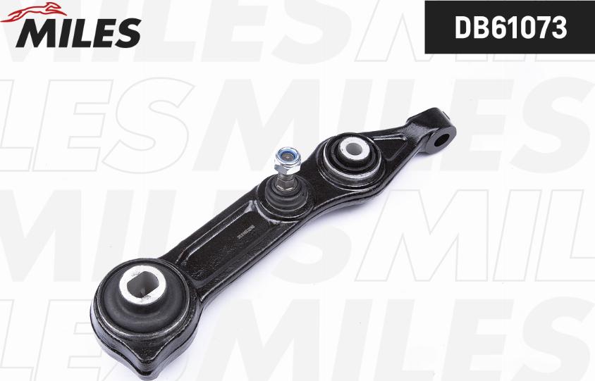 Miles DB61073 - Braccio oscillante, Sospensione ruota autozon.pro