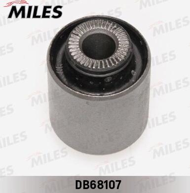 Miles DB68107 - Supporto, Braccio oscillante autozon.pro