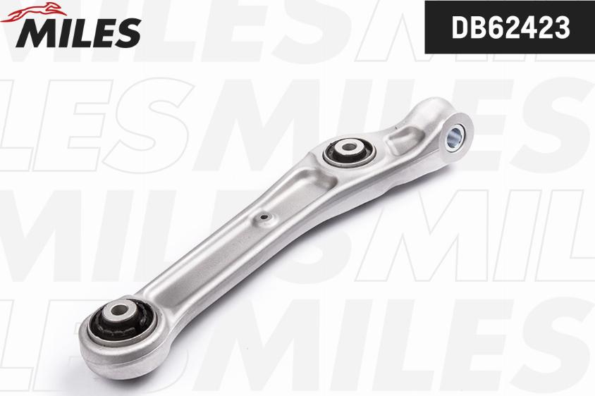 Miles DB62423 - Braccio oscillante, Sospensione ruota autozon.pro