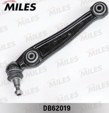 Miles DB62019 - Braccio oscillante, Sospensione ruota autozon.pro