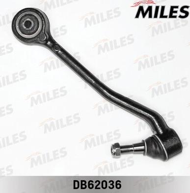 Miles DB62036 - Braccio oscillante, Sospensione ruota autozon.pro