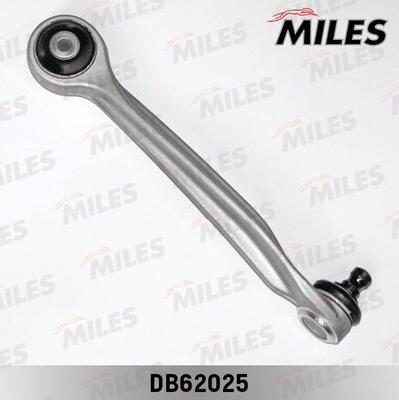 Miles DB62025 - Braccio oscillante, Sospensione ruota autozon.pro