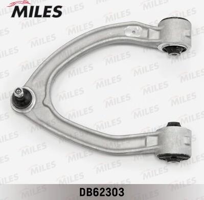 Miles DB62303 - Braccio oscillante, Sospensione ruota autozon.pro