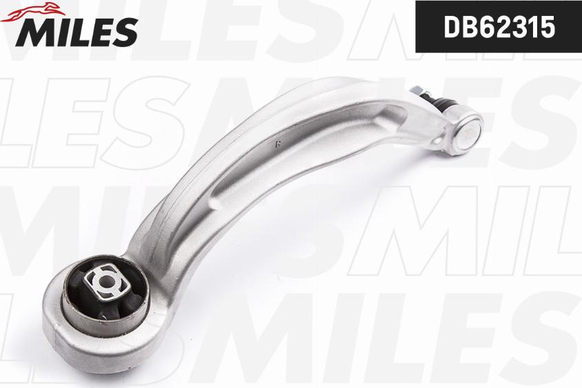 Miles DB62315 - Braccio oscillante, Sospensione ruota autozon.pro