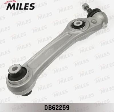 Miles DB62259 - Braccio oscillante, Sospensione ruota autozon.pro