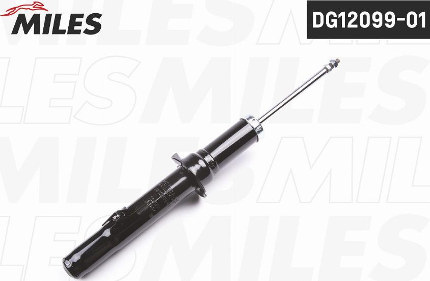 Miles DG12099-01 - Ammortizzatore autozon.pro