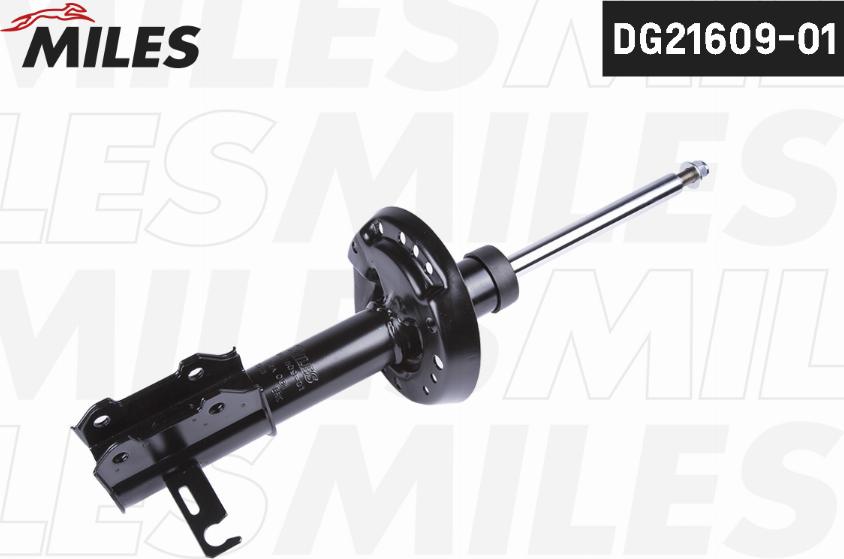 Miles DG21609-01 - Ammortizzatore autozon.pro