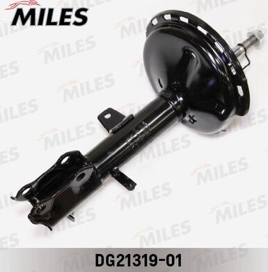 Miles DG21319-01 - Ammortizzatore autozon.pro