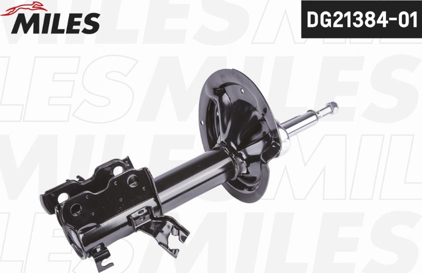 Miles DG21384-01 - Ammortizzatore autozon.pro