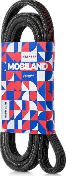 MOBILAND 501362280 - Cinghia Poly-V autozon.pro