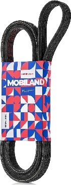 MOBILAND 501372074 - Cinghia Poly-V autozon.pro