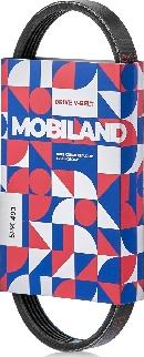 MOBILAND 501250493 - Cinghia Poly-V autozon.pro