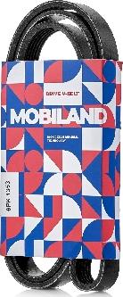 MOBILAND 501261353 - Cinghia Poly-V autozon.pro