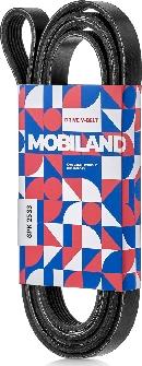 MOBILAND 501262563 - Cinghia Poly-V autozon.pro