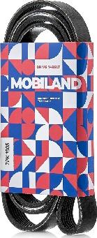 MOBILAND 501271905 - Cinghia Poly-V autozon.pro