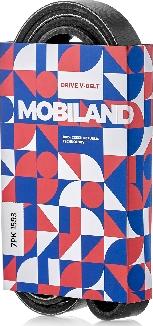 MOBILAND 501271593 - Cinghia Poly-V autozon.pro