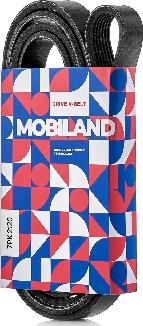 MOBILAND 501272120 - Cinghia Poly-V autozon.pro