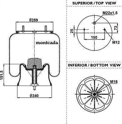 Firestone 1 T 17 BS-6 - Soffietto, Sospensione pneumatica autozon.pro