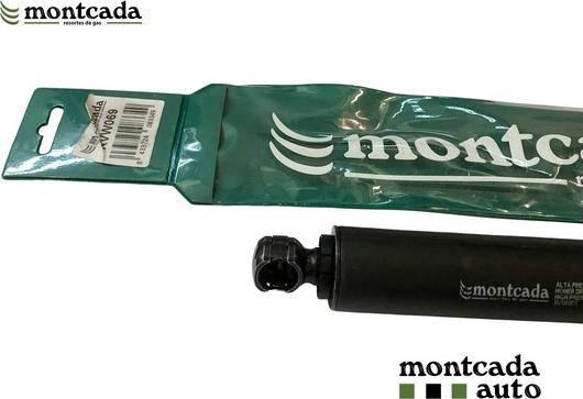 Montcada RVW069 - Ammortizzatore pneumatico, Cofano motore autozon.pro