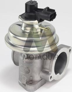 Motaquip LVER349 - Valvola ricircolo gas scarico-EGR autozon.pro