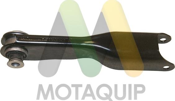 Motaquip LVSA1920 - Braccio oscillante, Sospensione ruota autozon.pro