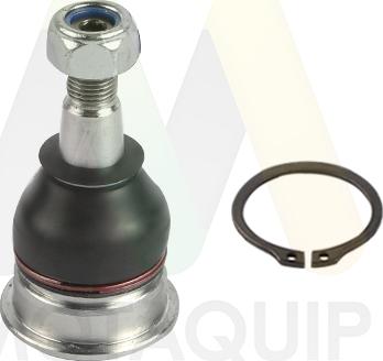 Motaquip LVSJ1282 - Giunto di supporto / guida autozon.pro