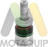 Motaquip LVSJ1236 - Giunto di supporto / guida autozon.pro