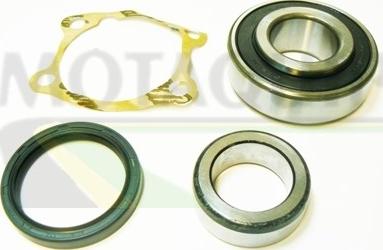 Motaquip VBK1196 - Kit cuscinetto ruota autozon.pro