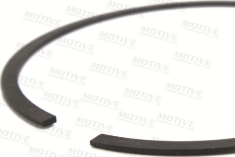 MOTIVE 9049 - Kit fasce elastiche autozon.pro