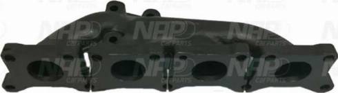 NAP CPL25210 - Curva di raccordo, Imp. gas scarico autozon.pro