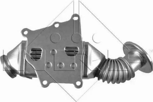 NRF 48019 - Radiatore, Ricircolo gas scarico autozon.pro